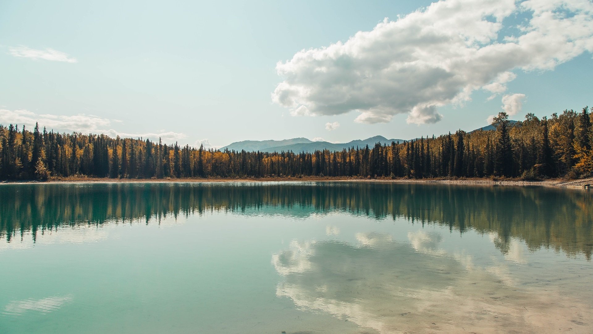 华体会官网-锡安轰下41+12！国王加时掀翻卫冕冠军，关键先生坦言，为这一刻而生