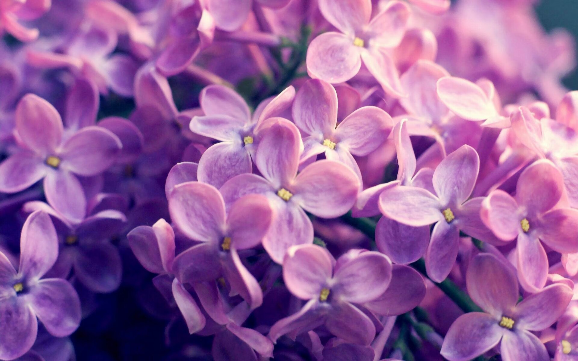 静默火焰，于无声处听惊雷