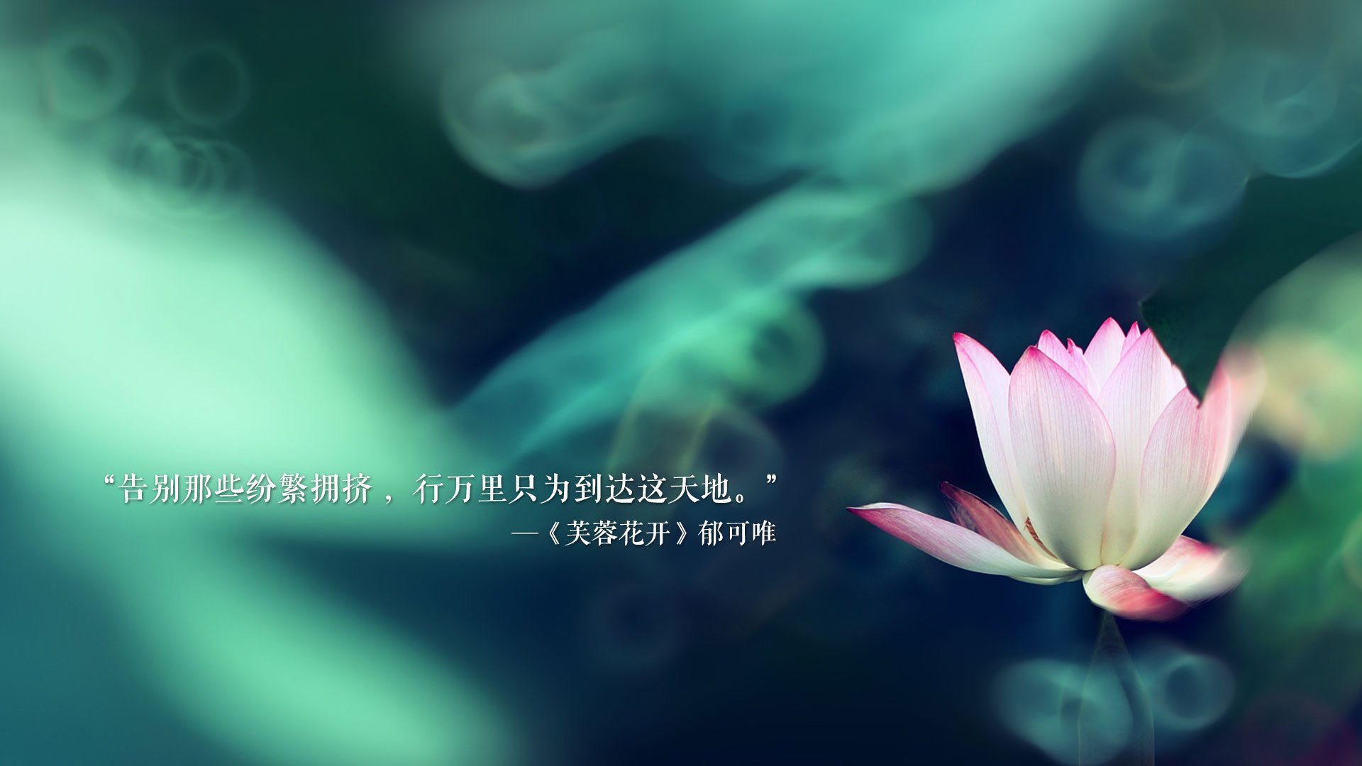 冷门之夜，红色旋风席卷安第斯，2026世界杯E组，瑞士智取智利，阿方索·戴维斯剑指巅峰